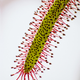 Image for article titled Shooting Challenge: Focus Stacking Gallery